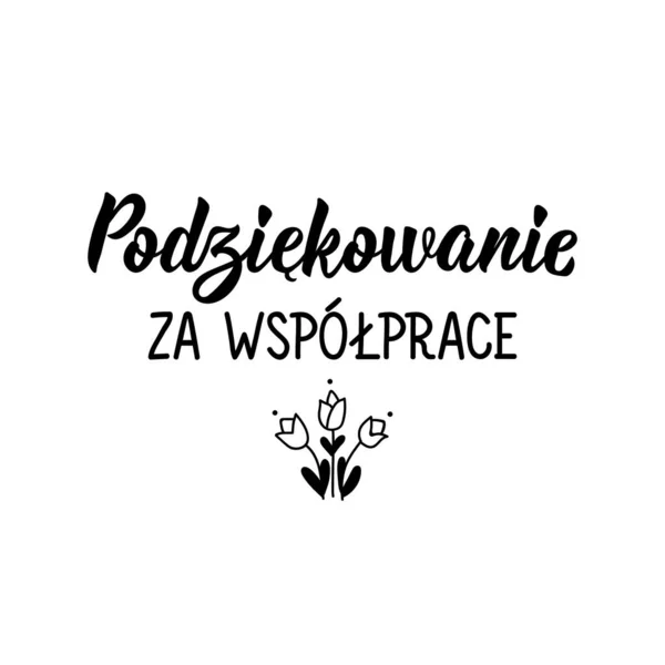 Переклад Польської Дякуємо Вашу Співпрацю Сучасна Каліграфія Векторних Пензлів Ілюстрація — стоковий вектор
