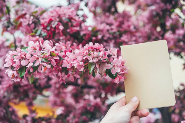 Kéz Egy Füzetet Tart Sakura Virágzó Ágai Között Pozitív Ötletek — Stock Fotó