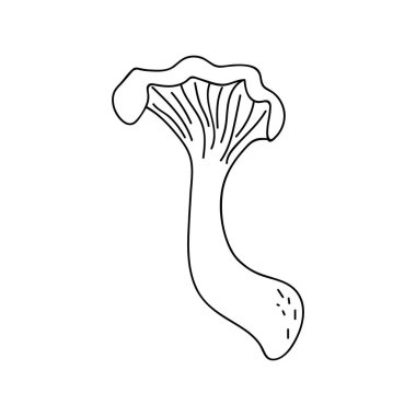 Sonbahar dekorasyonu için tek elle mantar çizilmiş. Doodle vektör çizimi. Beyaz bir arkaplanda izole edilmiş.