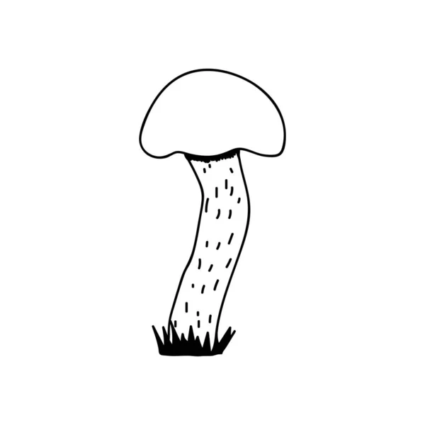 Single Hand Drawn Buttercup Mushroom Autumn Decoration Doodle Vector Illustration — 图库矢量图片