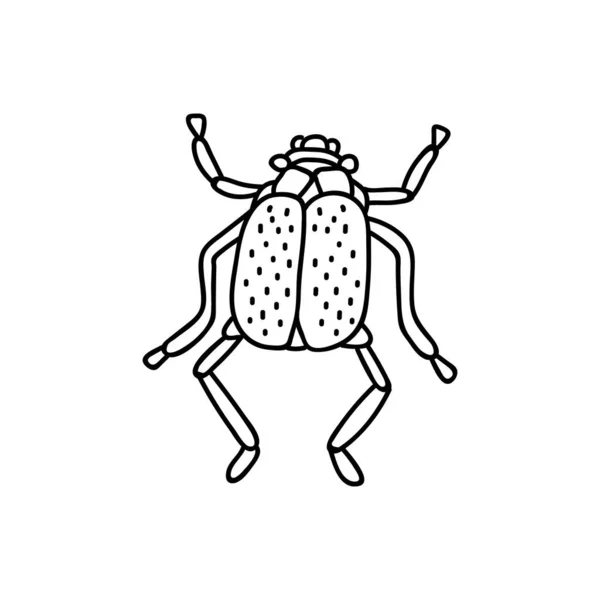 Insecto Dibujado Mano Ilustración Vectorial Doodle Aislado Sobre Fondo Blanco — Vector de stock