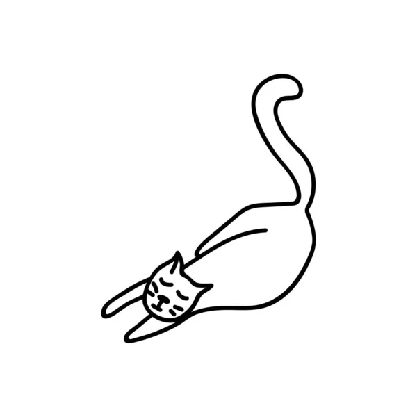 Kočka Jednou Rukou Spí Legrační Póze Vektorová Ilustrace Izolováno Bílém — Stockový vektor