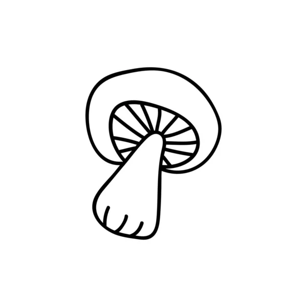 Fungo Disegnato Mano Singola Decorazione Autunnale Illustrazione Del Vettore Doodle — Vettoriale Stock