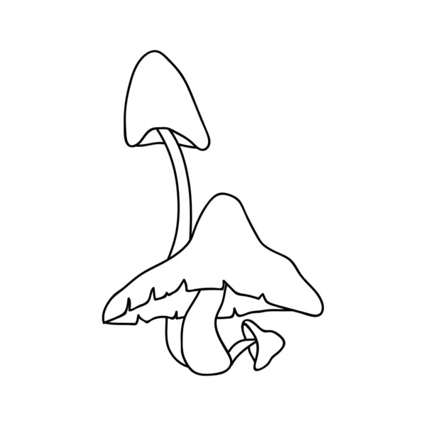 Cogumelos Desenhados Mão Para Decoração Outono Ilustração Vetorial Doodle Isolado — Vetor de Stock