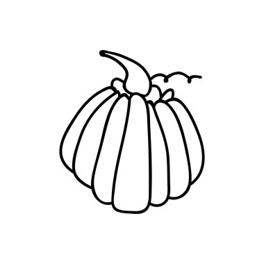 Tek elle çizilmiş balkabağı. Doodle vektör çizimi. Beyaz bir arkaplanda izole edilmiş.