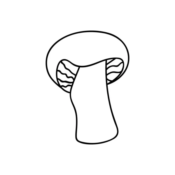 Cogumelo Desenhado Mão Única Para Decoração Outono Ilustração Vetorial Doodle —  Vetores de Stock