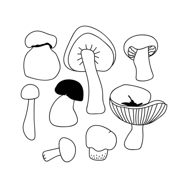 Handgezogene Pilze Als Herbstdekoration Doodle Vektor Illustration Isoliert Auf Weißem — Stockvektor