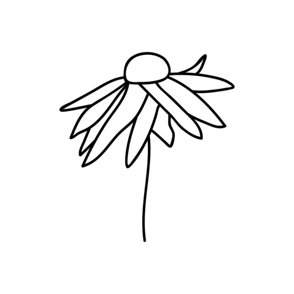 Een Hand Getrokken Kamille Doodle Vector Illustratie Geïsoleerd Een Witte — Stockvector