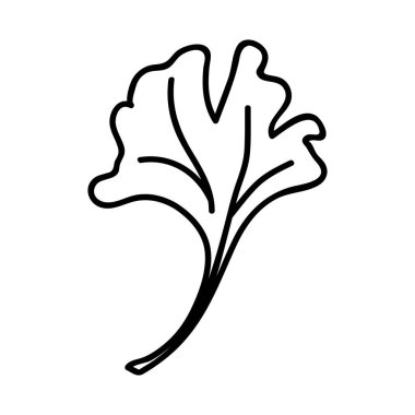 Tek elle çizilmiş yaprak. Doodle vektör çizimi. Beyaz bir arkaplanda izole edilmiş.