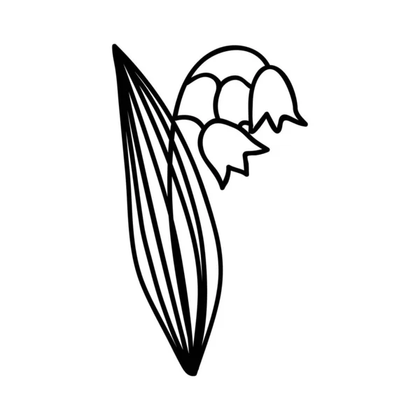 Одноручная Рисованная Лилия Долины Дудл Векторная Иллюстрация Изолированный Белом Фоне — стоковый вектор