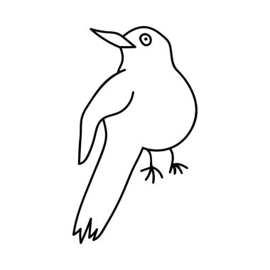 Tek elle çizilmiş kuş. Doodle vektör çizimi. Beyaz bir arkaplanda izole edilmiş.