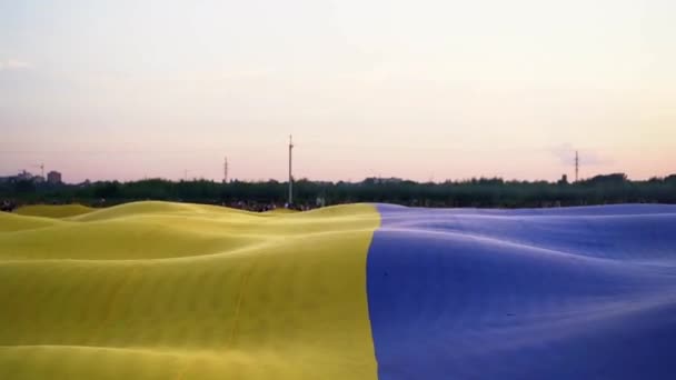 Uitgerolde Grote Vlag Van Oekraïne Wappert Wind Onafhankelijkheidsdag Concept — Stockvideo