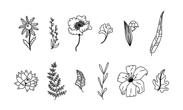 Ensemble Fleurs Feuilles Illustration Vectorielle Doodle Isolé Sur Fond Blanc — Image vectorielle