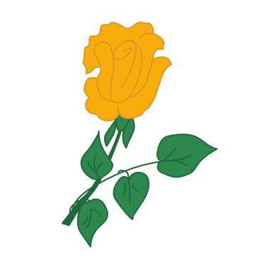 El çizimi sarı gül. Çizimler vektör illüstrasyonu. Beyaz bir arkaplanda izole edilmiş.