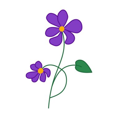 Güzel mor çiçek. Şekillendirilmiş nonoş çiçeği. Beyaz bir arkaplanda izole edilmiş.