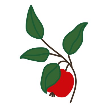 Bir dalda kırmızı elma. Çizimler vektör illüstrasyonu. Beyaz bir arka planda izole edilmiş. Apple dalı.