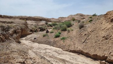 Çölün güzel manzarası