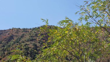 Doğanın güzel manzarası