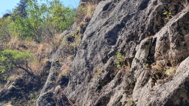 Doğanın güzel manzarası