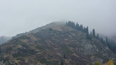 Bulutlu gökyüzünün altında tepeler ve dağlarla çevrili güzel bir orman görüntüsü.