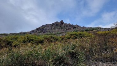 Doğa sahnesinin resimsel görüntüsü