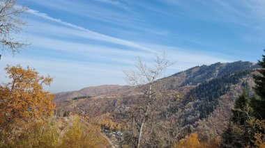 Dağları ve ağaçları olan güzel bir manzara.