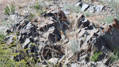 Yerdeki eski taşlar.