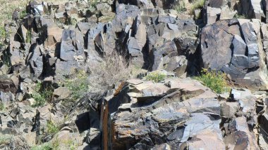 Dağlardaki kayalar. Petroglifli taşlar..