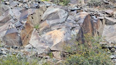 Petroglifli taşlar. Taş arkaplan dokusu.