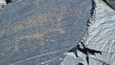 Taşların dokusu. Petroglifli taşlar..