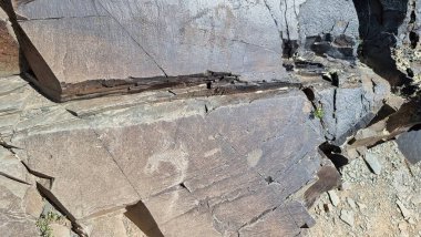 Taşların dokusu. Petroglifli taşlar..