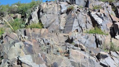 Doğanın güzel manzarası. Petroglifli taşlar..