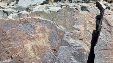 Dağlardaki taşların dokusu. Keçi suretinde taş..