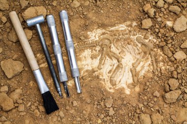 Skeleton and archaeological tools.Training for dig fossil. clipart