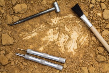 Skeleton and archaeological tools.Training for dig fossil. clipart