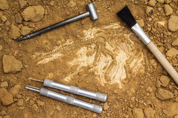 Esqueleto y herramientas arqueológicas.Capacitación para cavar fósiles . — Foto de Stock