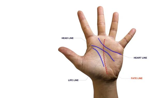 Yandan satır. Predict el falı kaderi.