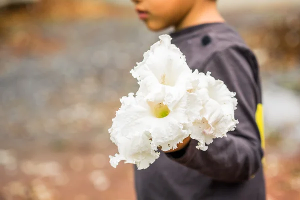Çiçek demet tutan bir Asyalı küçük çocuk