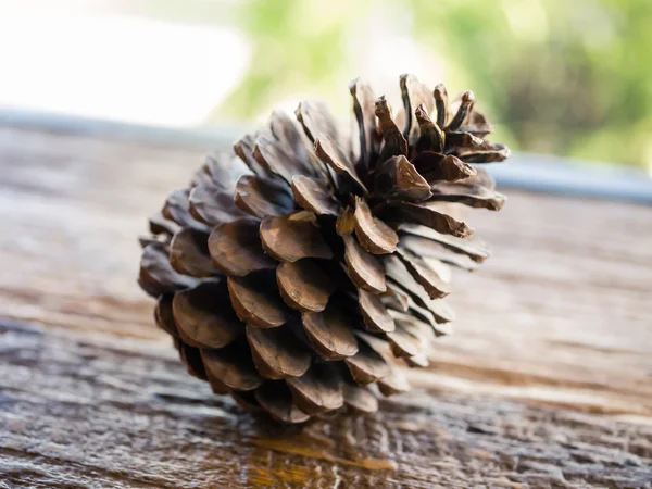 Koni çam masada, Doğa arka plan