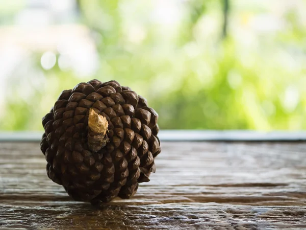 Koni çam masada, Doğa arka plan