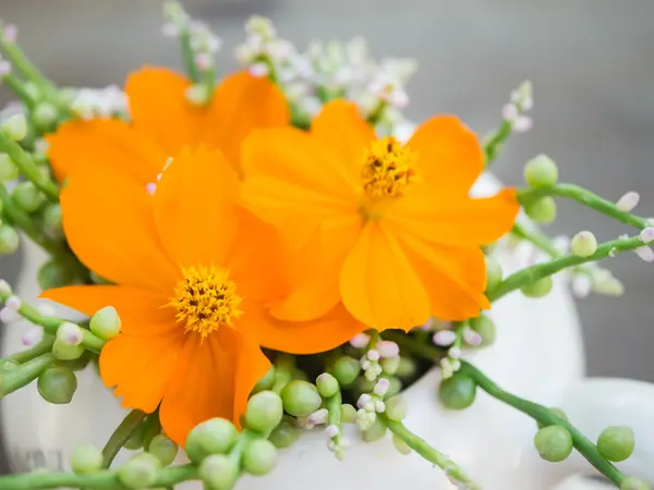 Sarı evren, doğa arka planları, çiçek, arka planlar kavramı.