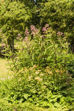 İsveç 'te bir bahçenin ayrıntıları