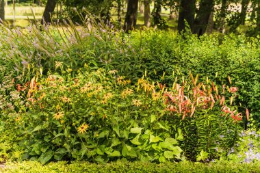 İsveç 'te bir bahçenin ayrıntıları