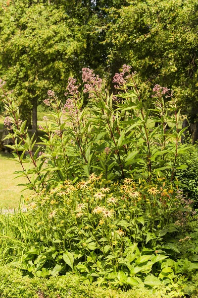 İsveç 'te bir bahçenin ayrıntıları