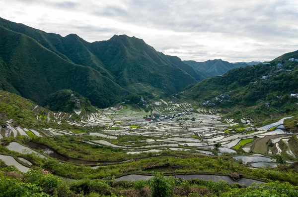 Ρύζι βεράντες των Φιλιππίνων Cordilleras — Φωτογραφία Αρχείου