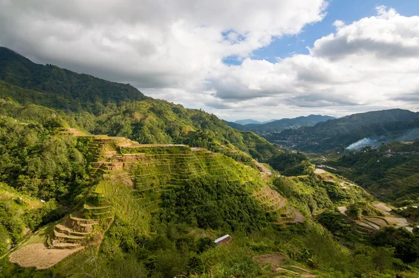 Terrazas de arroz de las Cordilleras filipinas — Foto de Stock