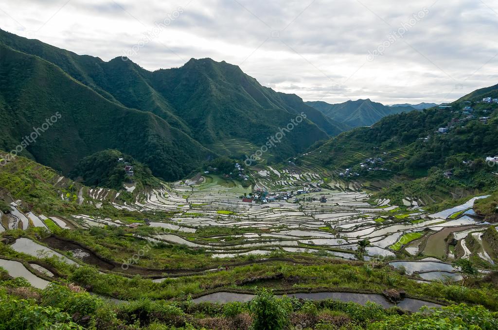 Rice terraces of the Philippine Cordilleras