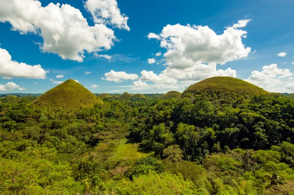 çikolata hills, bohol, Filipinler