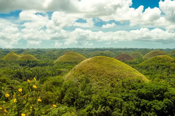 Chocolate Hills, Bohol, Filipinas — Foto de Stock