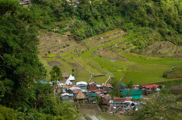 Terrazas de arroz de las Cordilleras filipinas — Foto de Stock